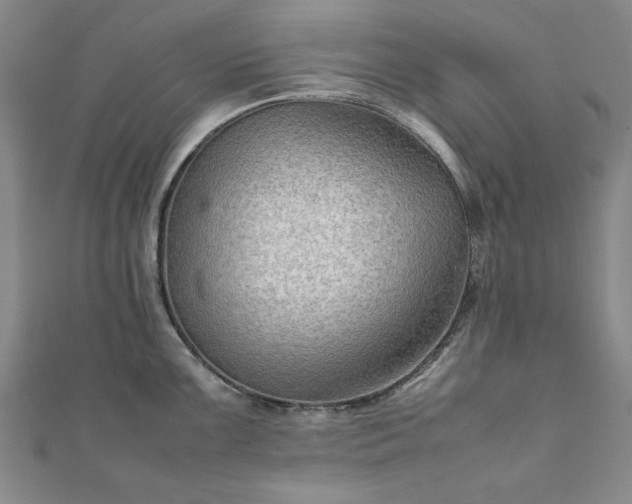 X0000111901099200908031112