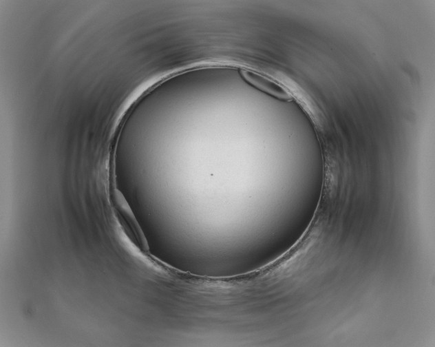 X0000111901100200908031112