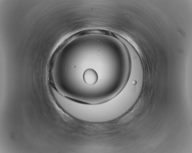 X0000111901101200908031112