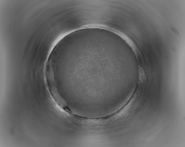 X0000111901102200908031112