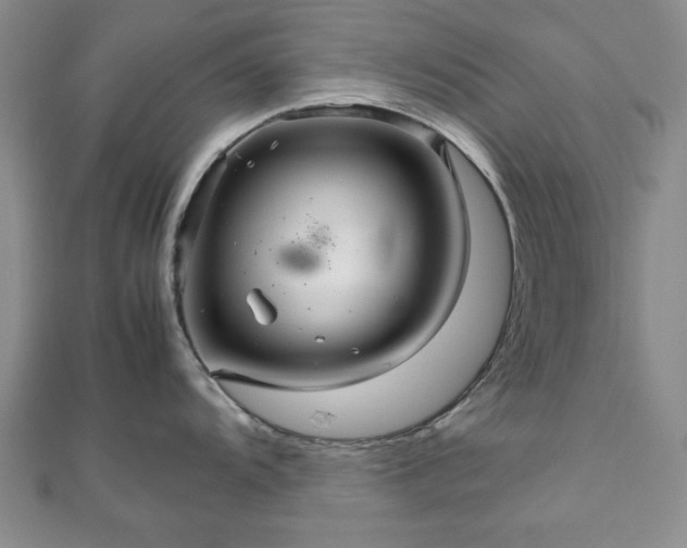 X0000111901104200908031112