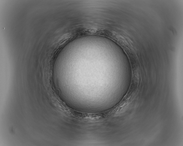 X0000111901105200908031111