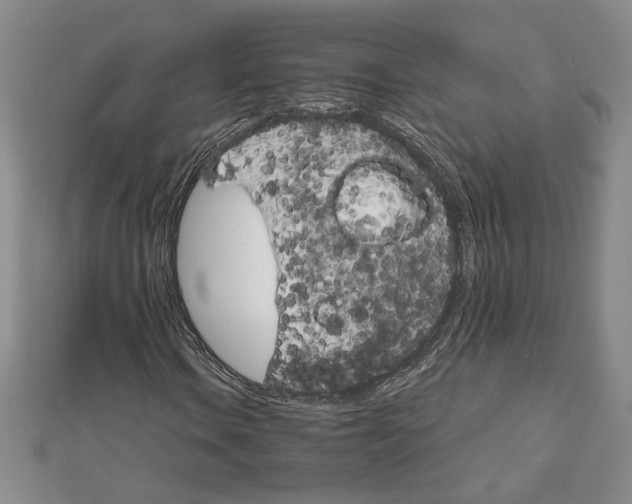 X0000111901106200908031111