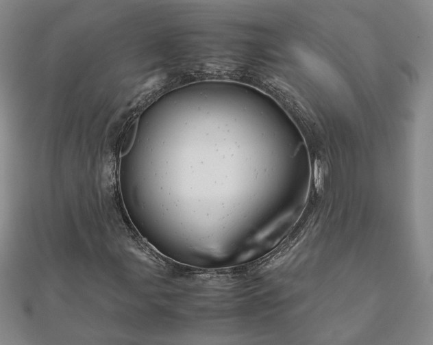 X0000111901107200908031111