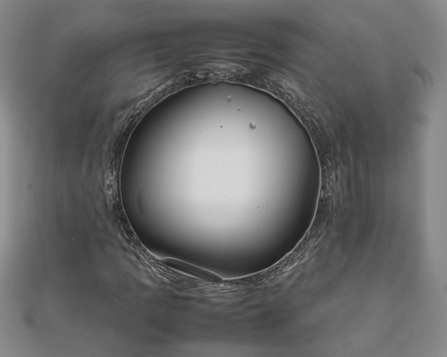 X0000111901109200908031111