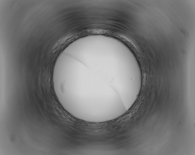 X0000111901111200908031111