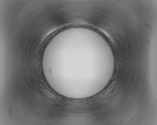 X0000111901112200908031111