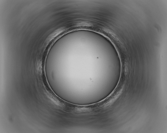 X0000111901113200908031111