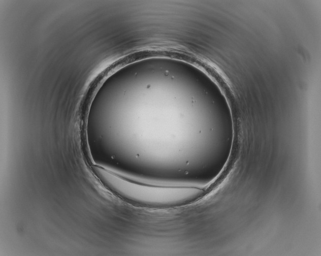 X0000111901114200908031111