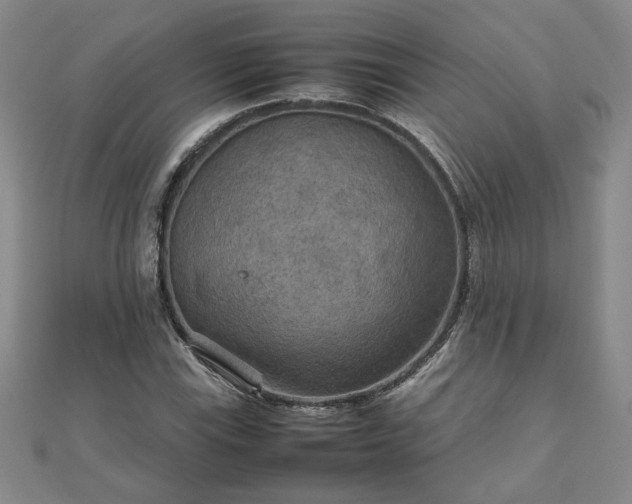 X0000111901115200908031111