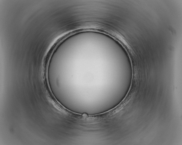 X0000111901116200908031111