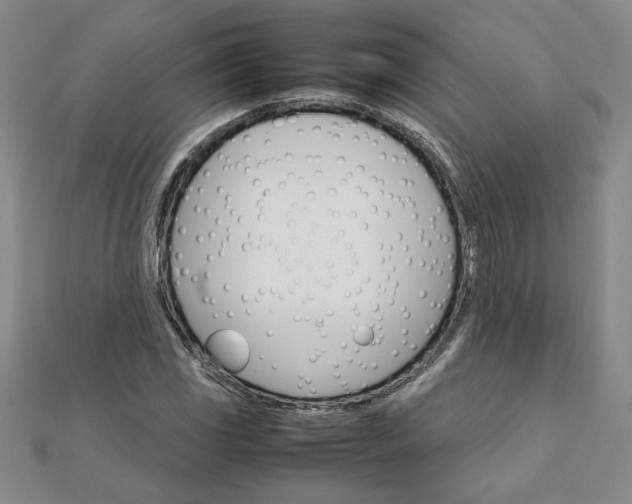 X0000111901117200908031111