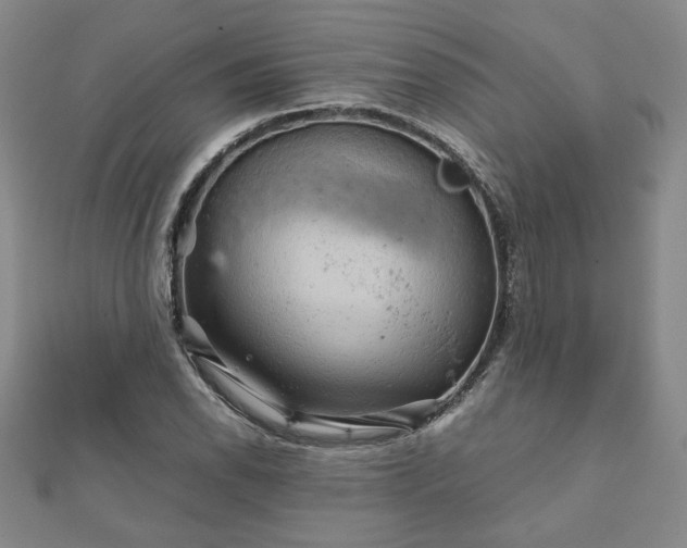 X0000111901118200908031111