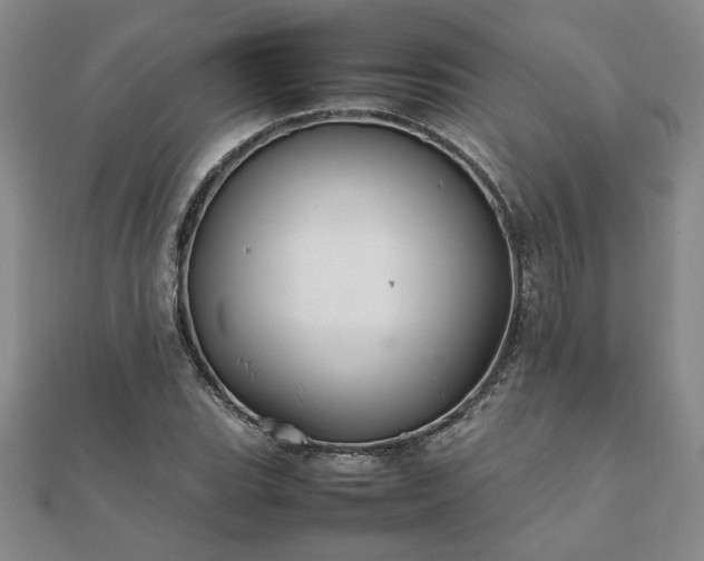 X0000111901119200908031111