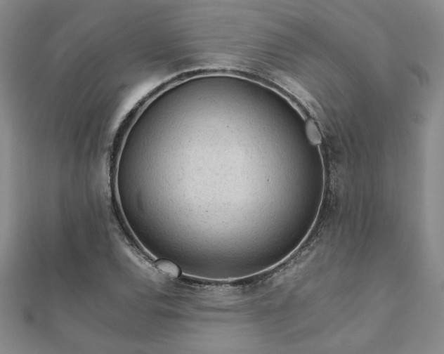 X0000111901120200908031111