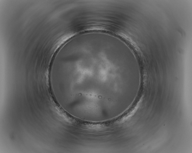 X0000111901121200908031111