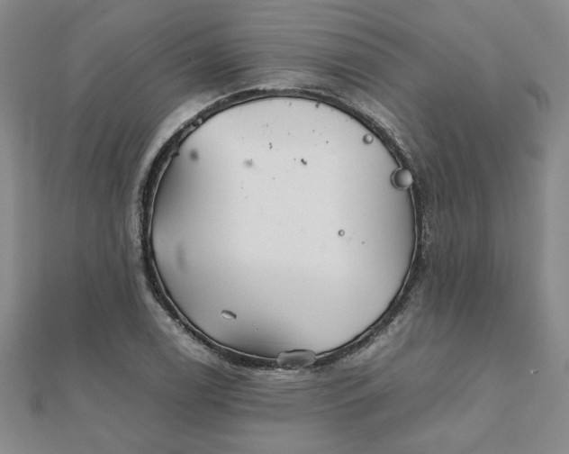 X0000111901122200908031111