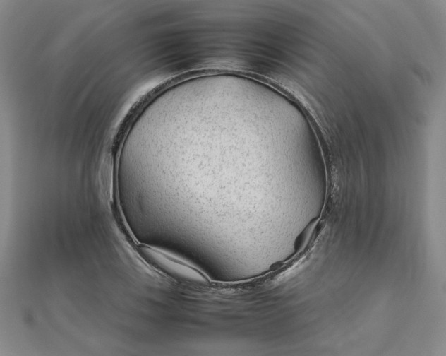 X0000111901123200908031111