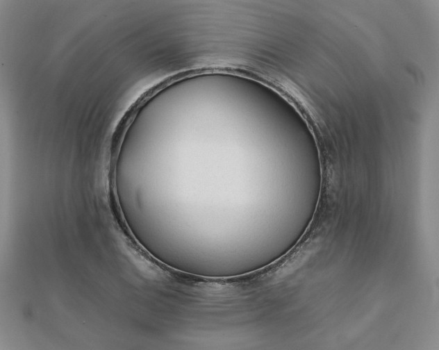 X0000111901124200908031111