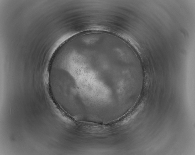 X0000111901125200908031111