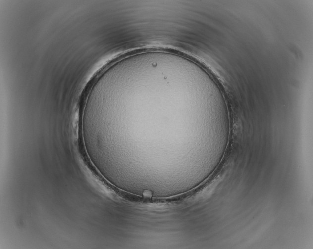 X0000111901126200908031111