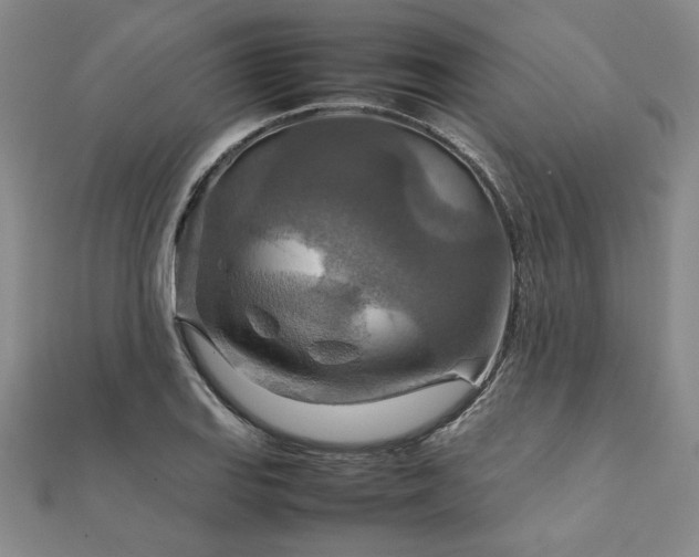 X0000111901127200908031111