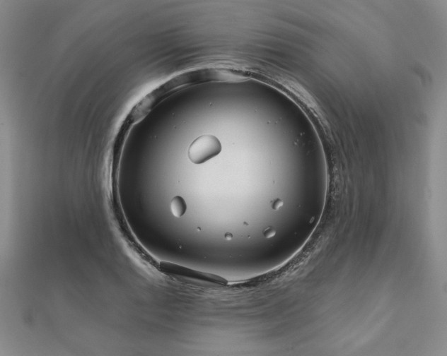 X0000111901128200908031111