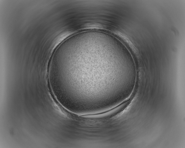 X0000111901129200908031111