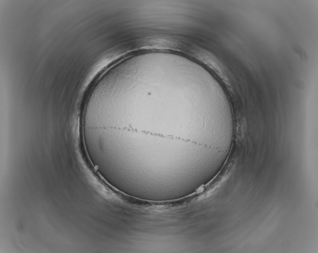 X0000111901130200908031111