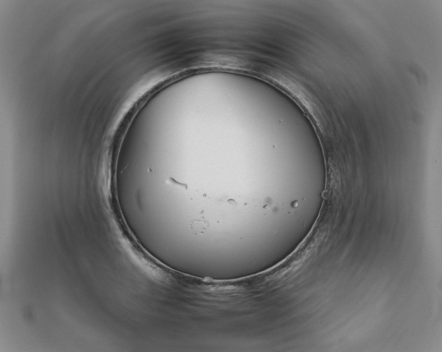 X0000111901131200908031111