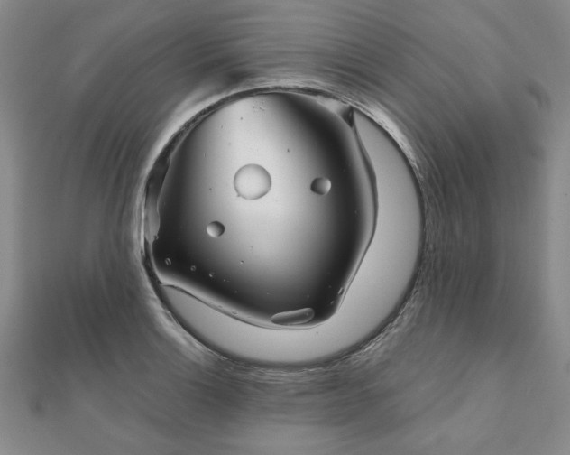 X0000111901132200908031111