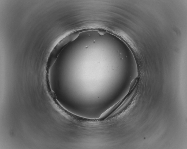 X0000111901134200908031111