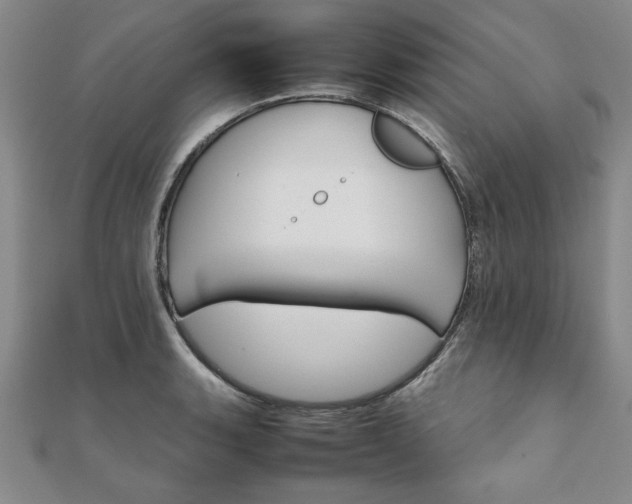 X0000111901135200908031111