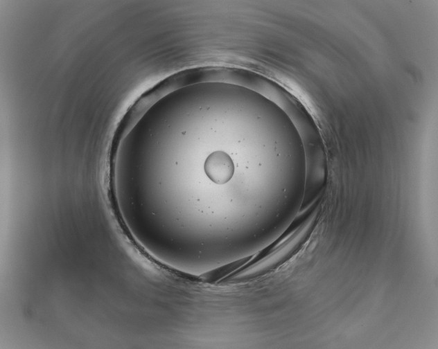 X0000111901136200908031111