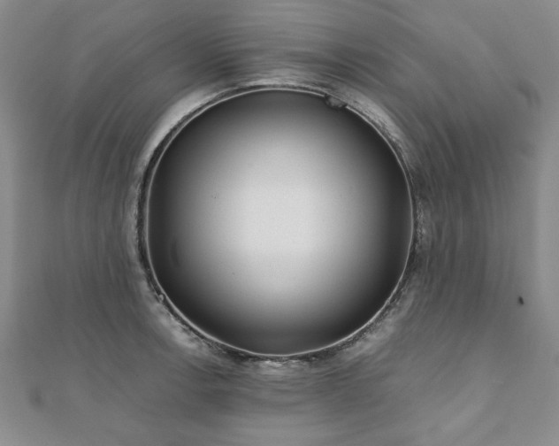 X0000111901138200908031111