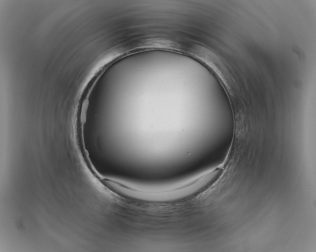 X0000111901139200908031111