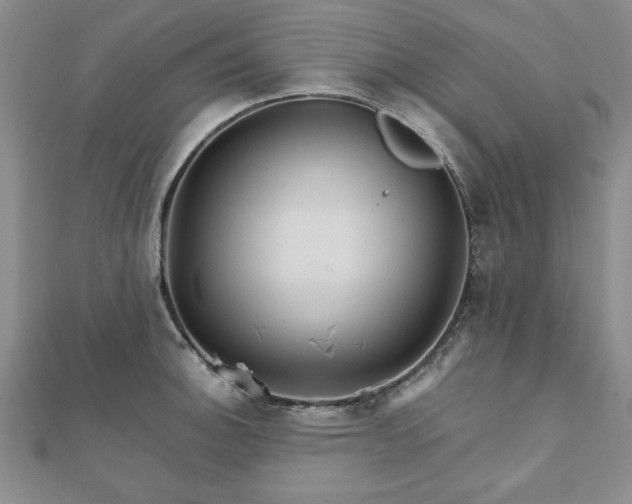 X0000111901140200908031111