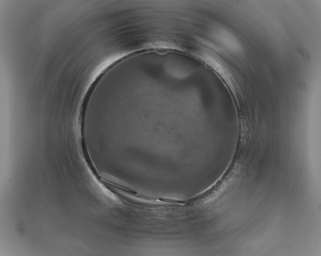 X0000111901141200908031112