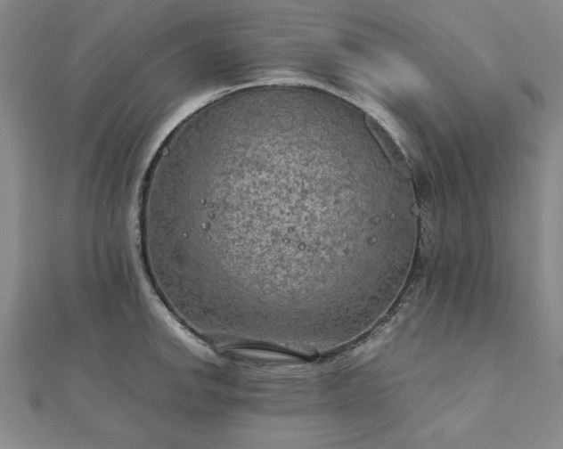 X0000111901142200908031112