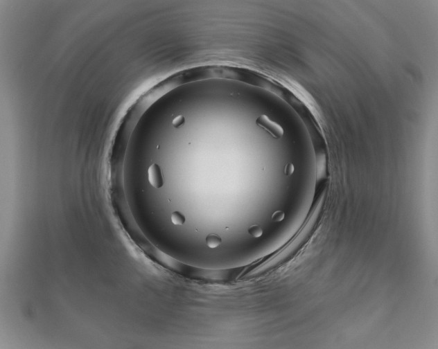 X0000111901144200908031112