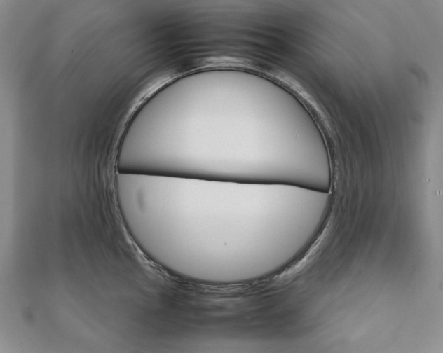 X0000111901145200908031112