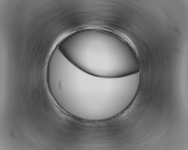 X0000111901146200908031112