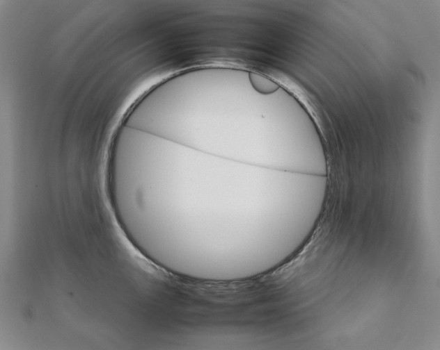 X0000111901147200908031112