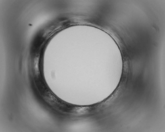 X0000111901150200908031112