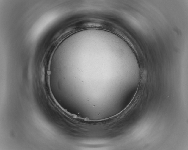 X0000111901151200908031112