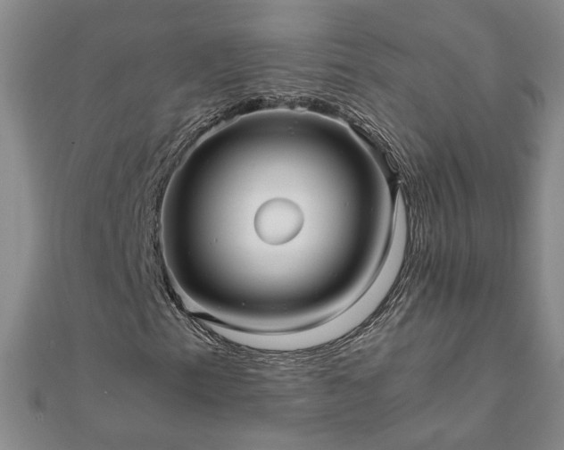 X0000111901153200908031111