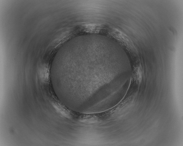 X0000111901154200908031111