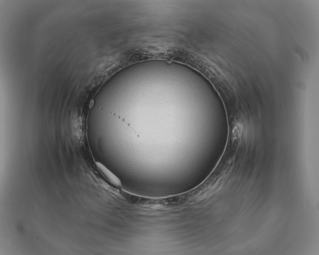 X0000111901156200908031111