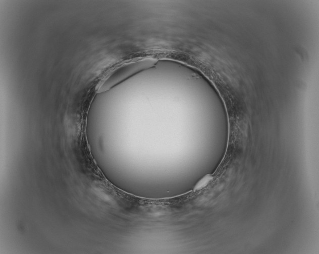 X0000111901157200908031111