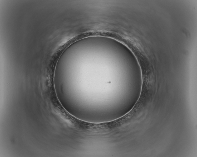 X0000111901159200908031111